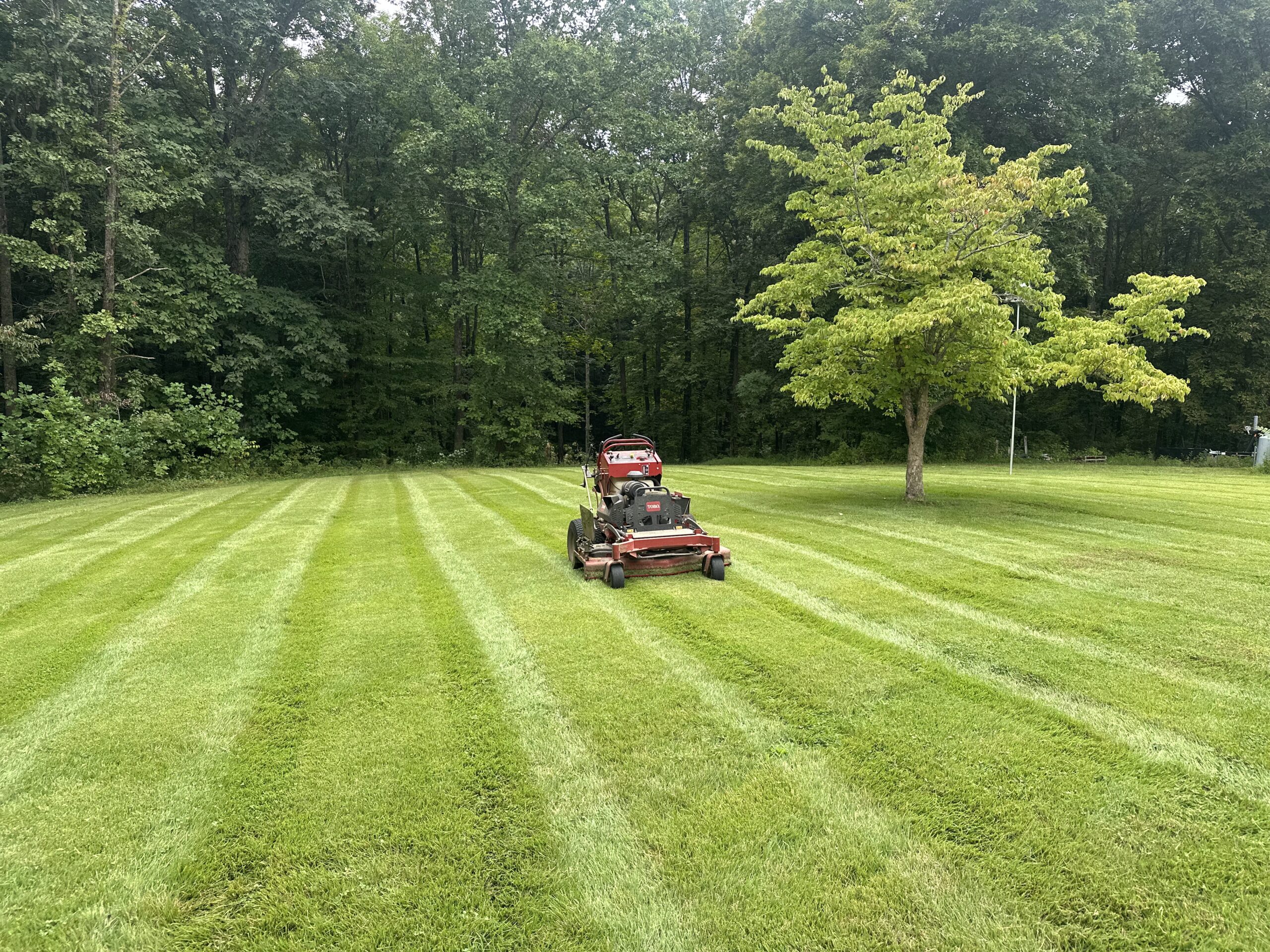 lawn mowing Gallatin TN